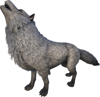 Direwolf Ghost