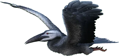 Ichthyornis