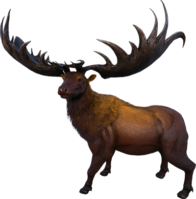 Megaloceros
