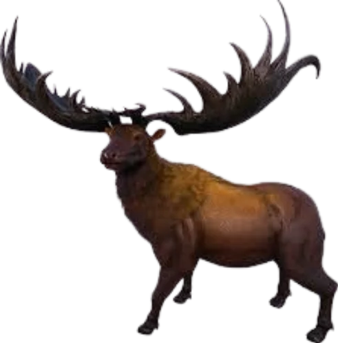 Megaloceros