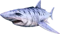 Megalodon