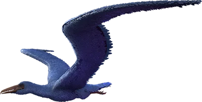 Pelagornis