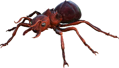 Titanomyrma