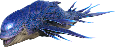 VR Astrodelphis