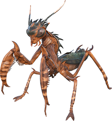 VR Mantis