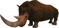 Woolly Rhino