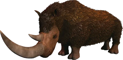 Woolly Rhino