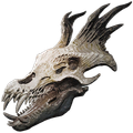 Alpha Ossidon Skull