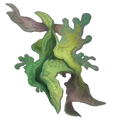 Archelon Algae