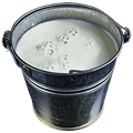 Bison Milk
