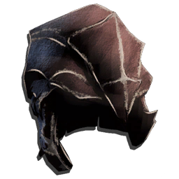 Chitin Helmet