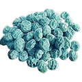 Cianberry Seed
