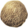 Hairball
