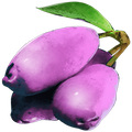Magenberry