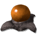 Pulmonoscorpius Egg