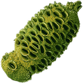 Verdberry Seed