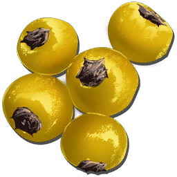 Amarberry