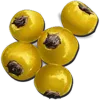 Amarberry