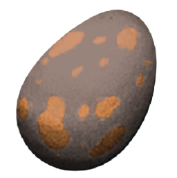 Amargasaurus Egg