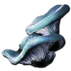 Aquatic Mushroom