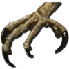Argentavis Talon