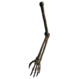 Arm