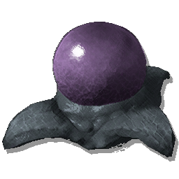 Arthropluera Egg