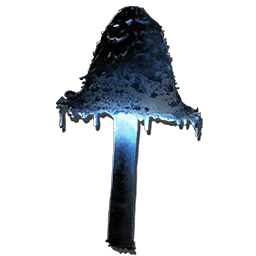 Ascerbic Mushroom