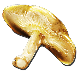 Auric Mushroom