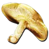 Auric Mushroom Brew
