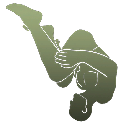 "Backflip" Emote
