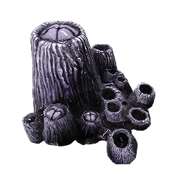 Barnacle