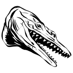 Basilosaurus Embryo