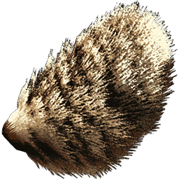 Bunny Tail Skin
