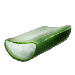 Cactus Sap