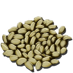 Camellia (Tea) Seed (Primitive Plus)