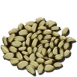Camellia (Tea) Seed
