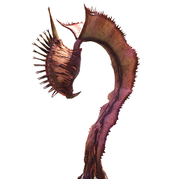 Carniflora