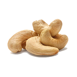 Cashew