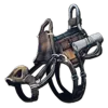 Castoroides Saddle