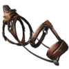 Chalicotherium Saddle