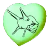 Chibi-Achatina