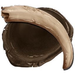 Chitin/Keratin