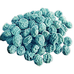 Cianberry Seed