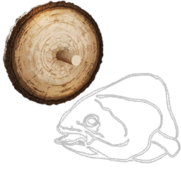 Coelacanth Fishing Trophy