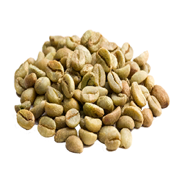 Coffee Seed (Primitive Plus)