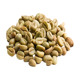 Coffee Seed