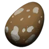 Compy Egg