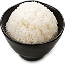Cooked Rice (Primitive Plus)
