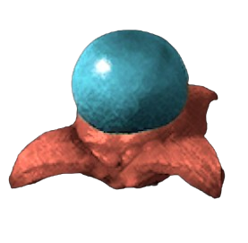 Cosmo Egg
